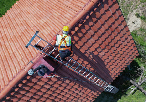 Best Rubber Roofing (EPDM, TPO)  in Spring Grove, MN