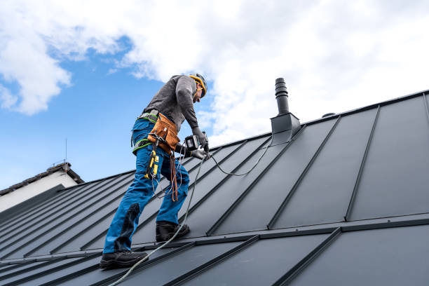 Best Roof Leak Repair  in Spring Grove, MN